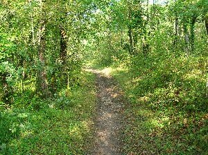 un sentier une autre voie